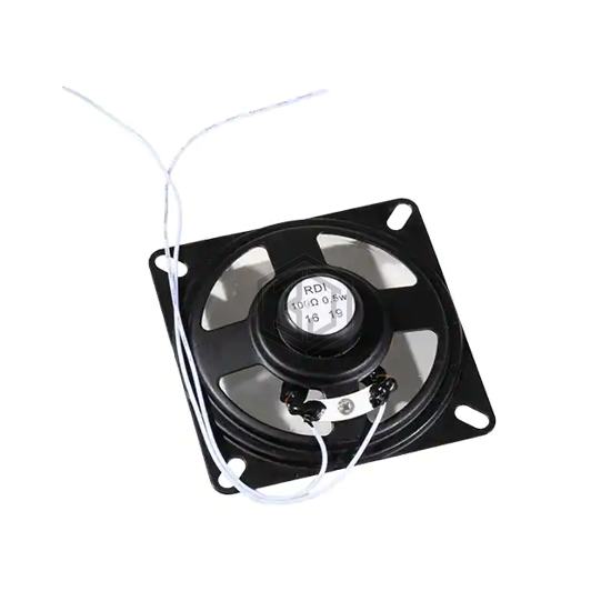RNS-66100183NL - RDI, Inc. - Speakers