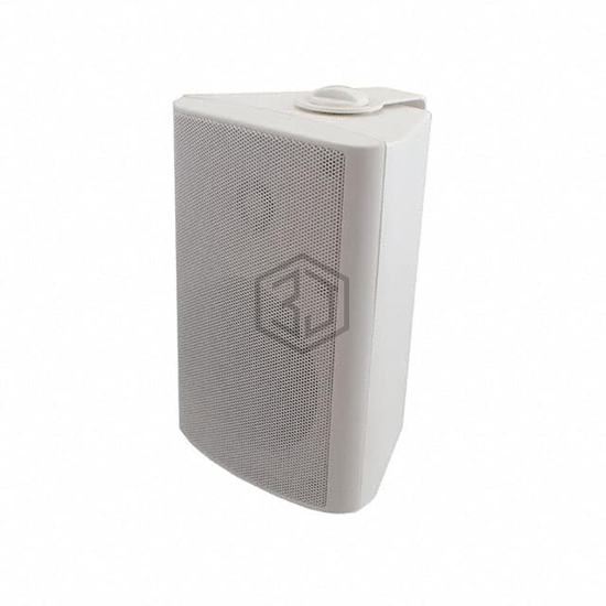WB 10 - 100 V/8 OHM (WHITE) - Visaton GmbH & Co. KG - Speakers