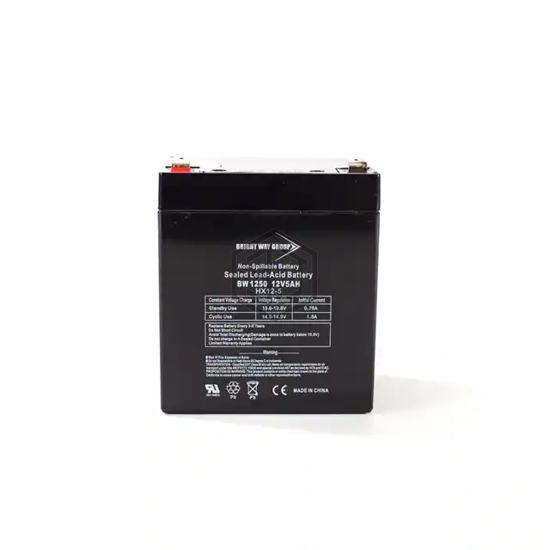 BW 1250 F1 - Bright Way Group - Batteries Rechargeable (Secondary)