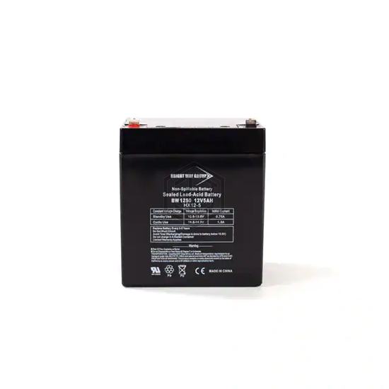 BW 1250 F2 - Bright Way Group - Batteries Rechargeable (Secondary)
