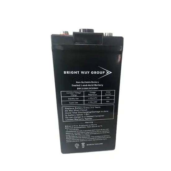 BW 23000 - Bright Way Group - Batteries Rechargeable (Secondary)