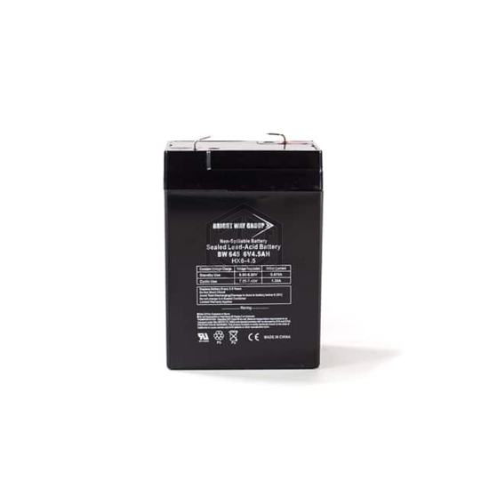 BW 645 - Bright Way Group - Batteries Rechargeable (Secondary)