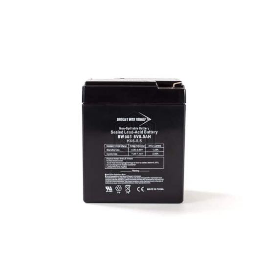 BW 685 - Bright Way Group - Batteries Rechargeable (Secondary)