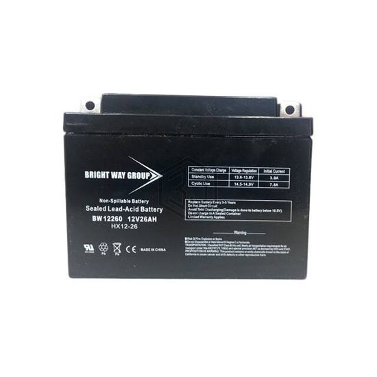 BW 12260 NB - Bright Way Group - Batteries Rechargeable (Secondary)