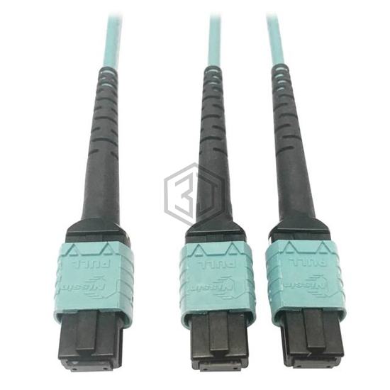 N846D-01M-24BAQ - Tripp Lite - Fiber Optic Cables