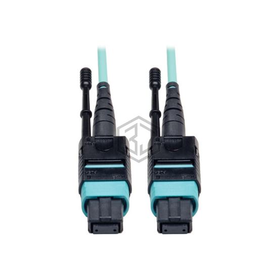 N844-03M-12-P - Tripp Lite - Fiber Optic Cables
