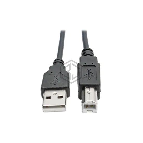 U022-006-COIL - Tripp Lite - USB Cables