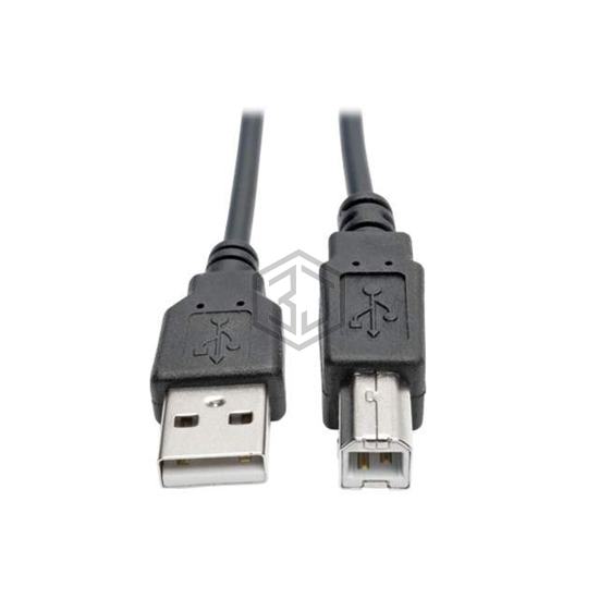 U022-010-COIL - Tripp Lite - USB Cables