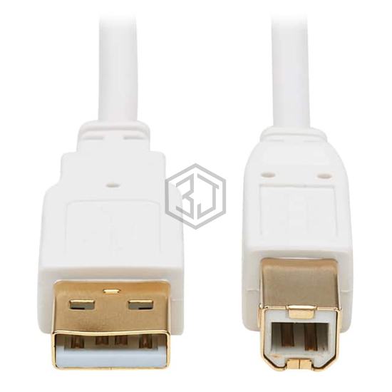 U022AB-010-WH - Tripp Lite - USB Cables