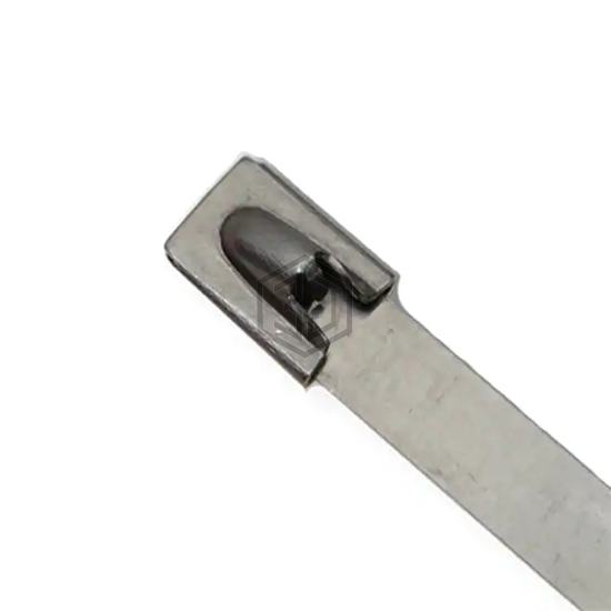 AL-06-100-SS-C - Advanced Cable Ties, Inc. - Cable Ties and Zip Ties