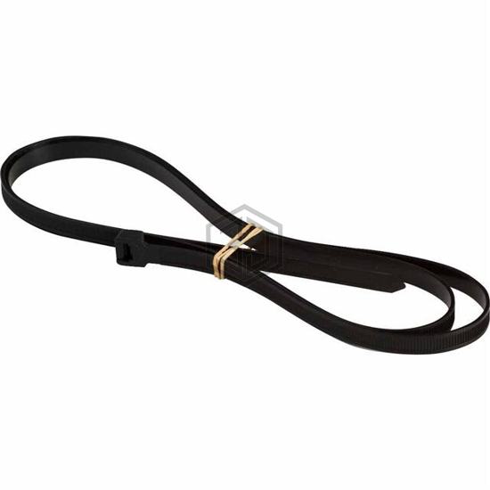 122062 - Brady Corporation - Cable Ties and Zip Ties