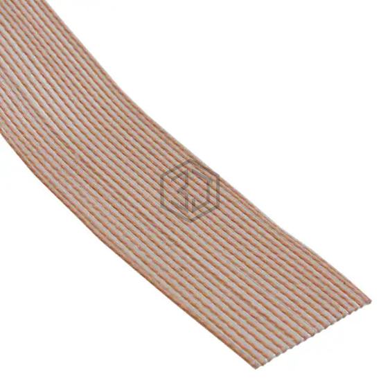 310J101-20 - Cicoil - Flat Ribbon Cables