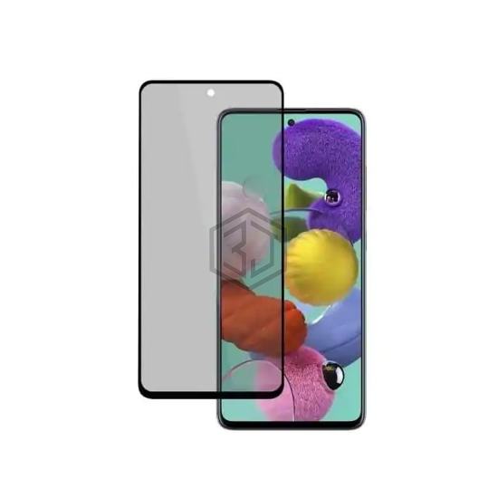 ZD-TG-S-S10L-P - Sahara Case LLC - Privacy Filters, Screen Protectors