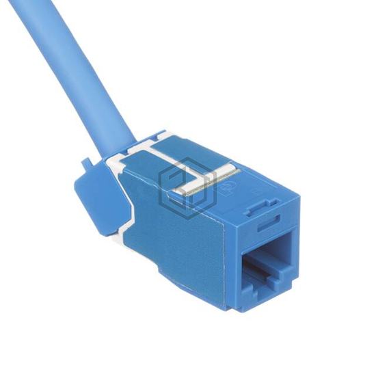 CJD6X88TGBU - Panduit Corp - Keystone - Inserts