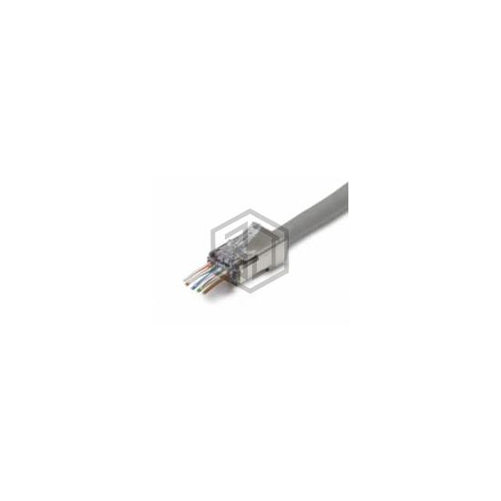 202049J - Platinum Tools - Modular Connectors - Plugs