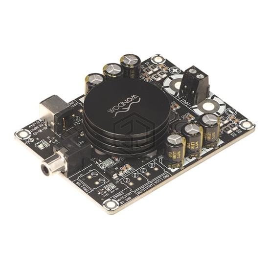 MPAB1X100-TPA3116 - Sure Electronics - Evaluation Boards - Audio Amplifiers