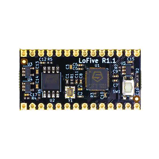 LOFIVE-R1 - GroupGets LLC - Evaluation Boards - Embedded - MCU, DSP