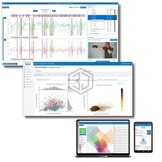 SML-BASIC-1-YEAR - SensiML - Software, Services