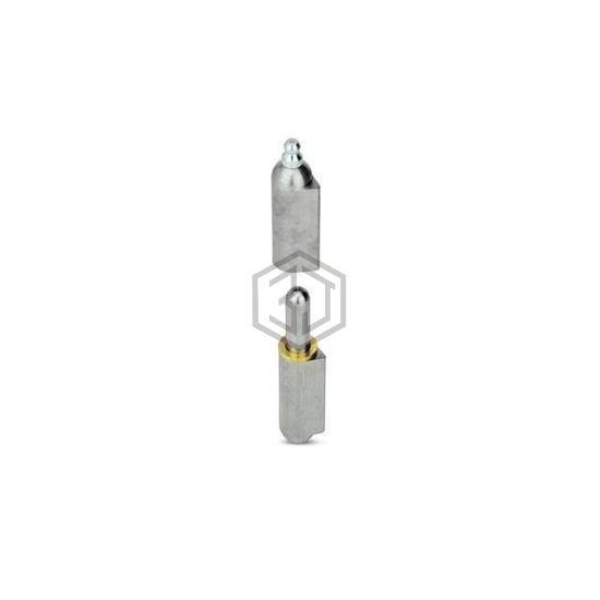 128-100-STS - J.W. Winco - Hinges