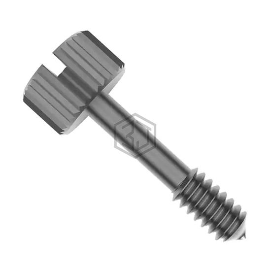 0138-SS - RAF Electronic Hardware - Screws, Bolts