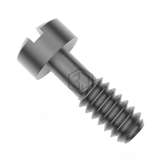 0830-SS - RAF Electronic Hardware - Screws, Bolts