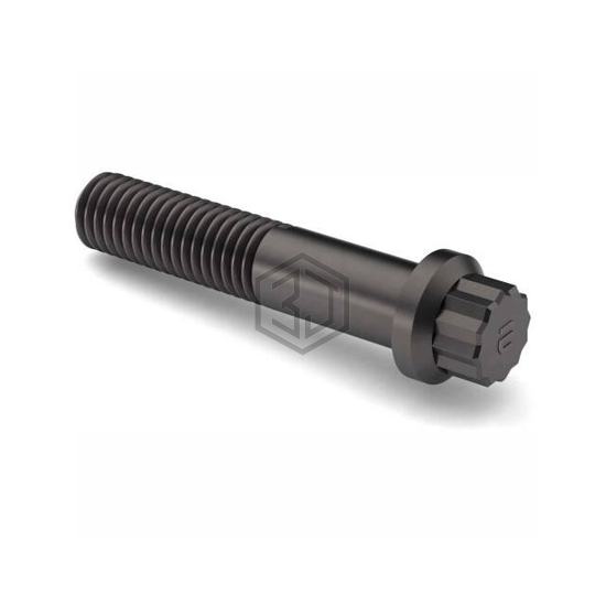 B2176384 - Earnest - Screws, Bolts