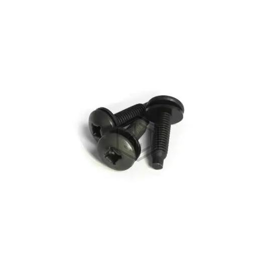 SCREW1032-10 - Hammond Manufacturing - Screws, Bolts