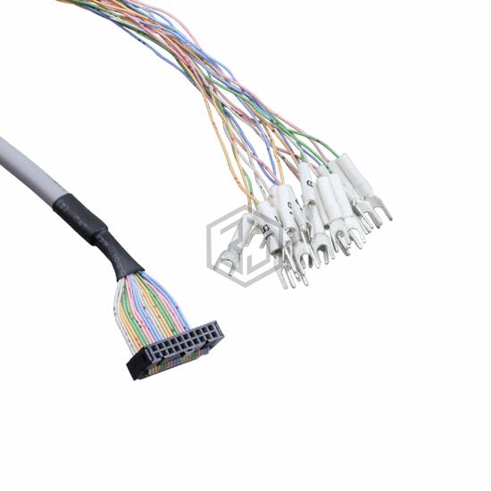 XW2Z-100F - Omron Automation and Safety - Controllers - Cable Assemblies