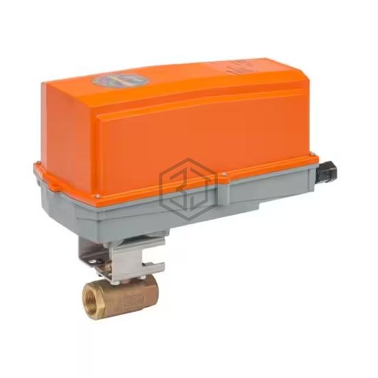 B219VSS+GRX24-MFT-T N4 - Belimo - Pneumatics, Hydraulics - Valves and Control