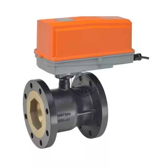 B6500S-290-250+GKRX24-MFT N4 - Belimo - Pneumatics, Hydraulics - Valves and Control