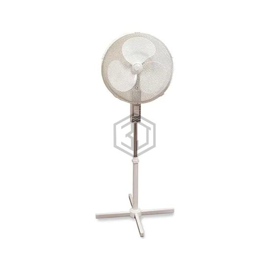 248460 - TPI - Fans - Household, Office and Pedestal Fans