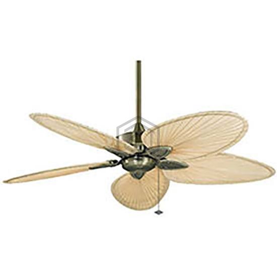 B1898581 - Fanimation - Fans - Household, Office and Pedestal Fans