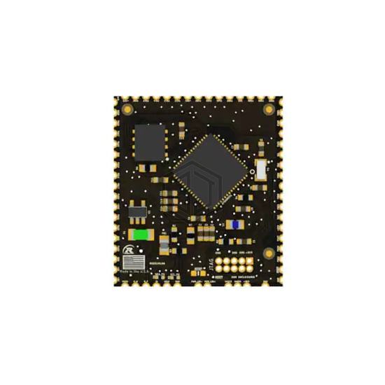 RSD51M100 - Rendeer Systems - Embedded - Microcontroller, Microprocessor, FPGA Modules