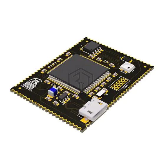RSD51M200 - Rendeer Systems - Embedded - Microcontroller, Microprocessor, FPGA Modules