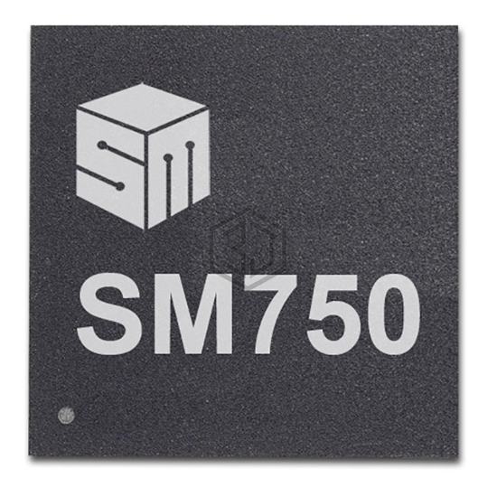 SM750KE160000-AC - Silicon Motion, Inc. - Embedded - Microprocessors