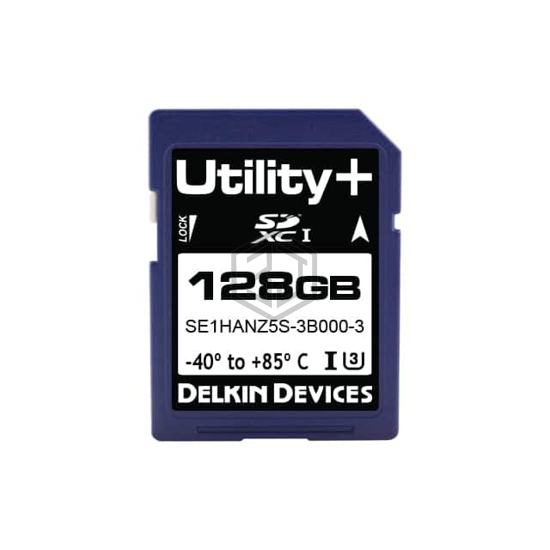 SE1HFQYFA-1B000-3 - Delkin Devices, Inc. - Memory Cards