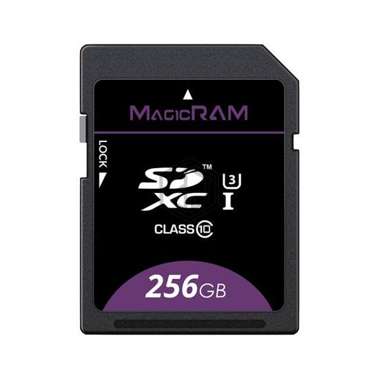 MR256MSD-001 - MagicRAM, Inc. - Memory Cards