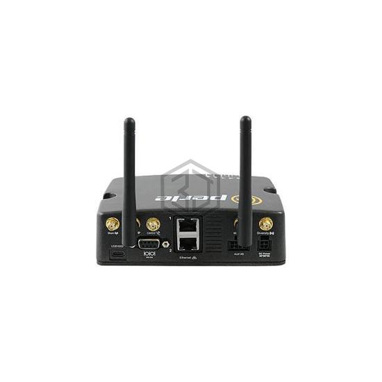 08000384 - Perle Systems - Gateways, Routers