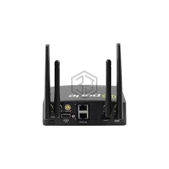 08000444 - Perle Systems - Gateways, Routers
