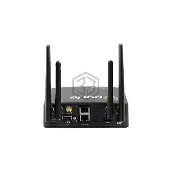 08000474 - Perle Systems - Gateways, Routers