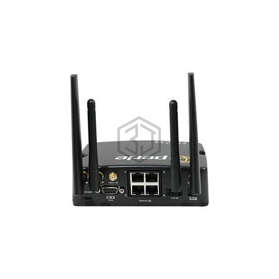 08000489 - Perle Systems - Gateways, Routers