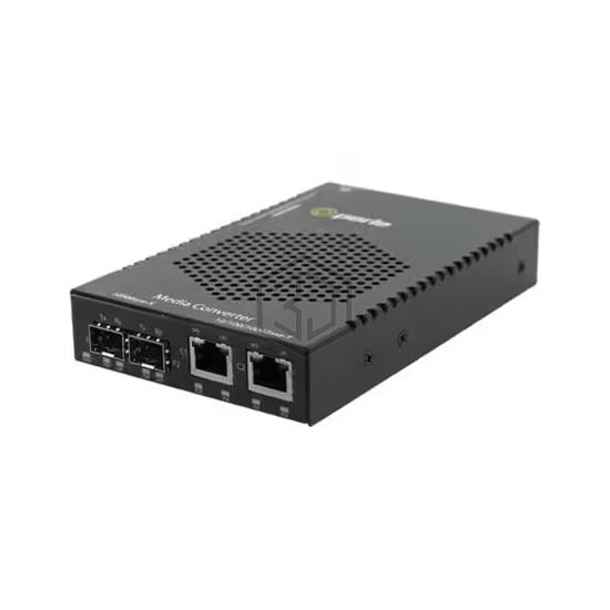 05079384 - Perle Systems - Media Converters
