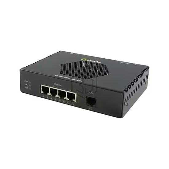 06005164 - Perle Systems - Miscellaneous
