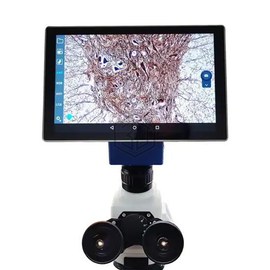 VE-SCOPEPAD 300 - Velab Co. - Video Inspection Systems