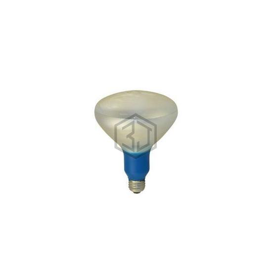WW-2W6D-0 - Interlight - Lamps - Incandescents, Neons