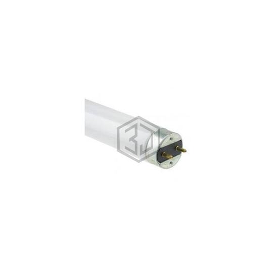 WX-EGYR-0 - Interlight - Accessories