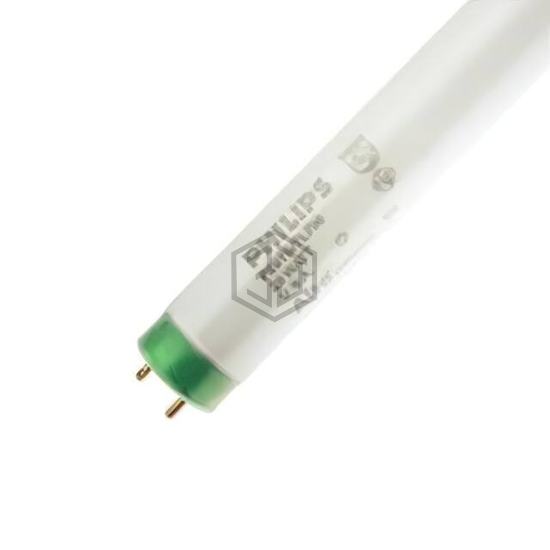 WX-EJJA-5 - Interlight - Accessories