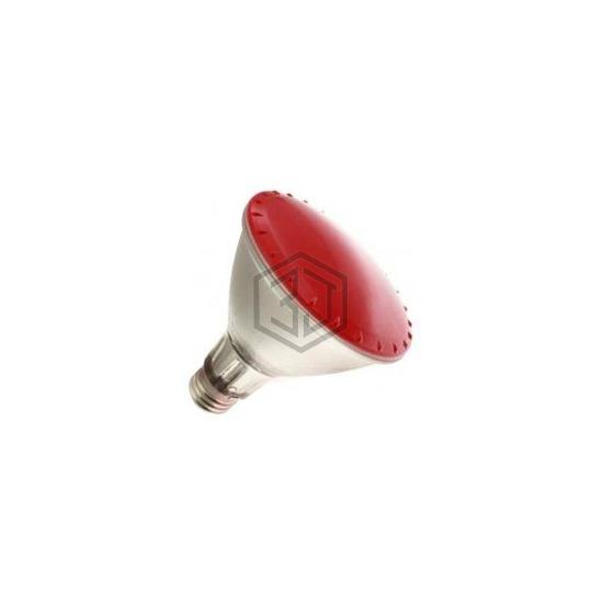 WX-ELZ0-0 - Interlight - Accessories