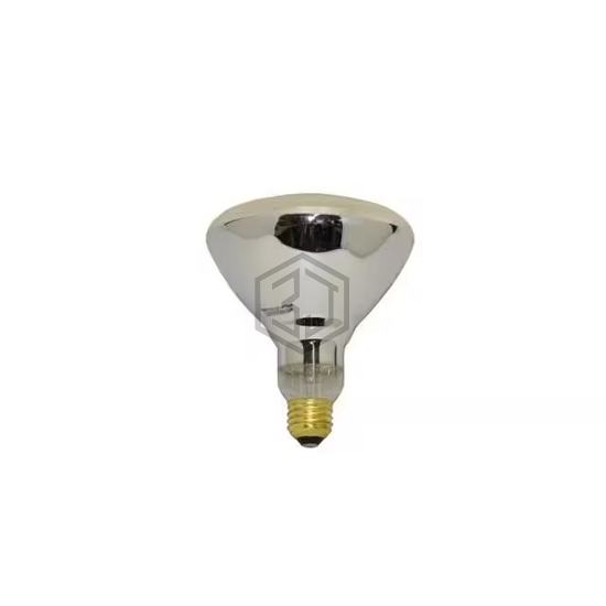 WW-12E2-2 - Interlight - Lamps - Incandescents, Neons