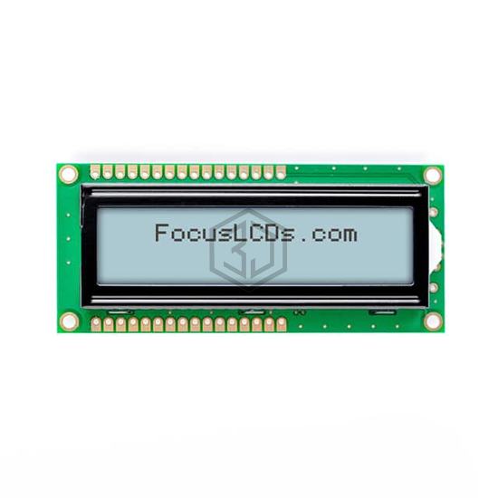 C162A-FTW-LW65 - Focus LCDs - Display Modules - LCD, OLED Character and Numeric